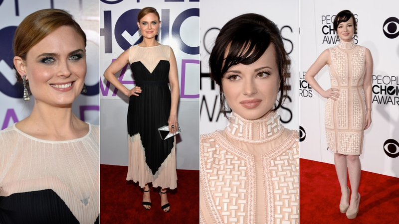 Illustration for article titled Cute Dresses, Hideous Hair and Innerboob at the People's Choice Awards
